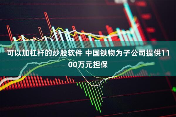 可以加杠杆的炒股软件 中国铁物为子公司提供1100万元担保