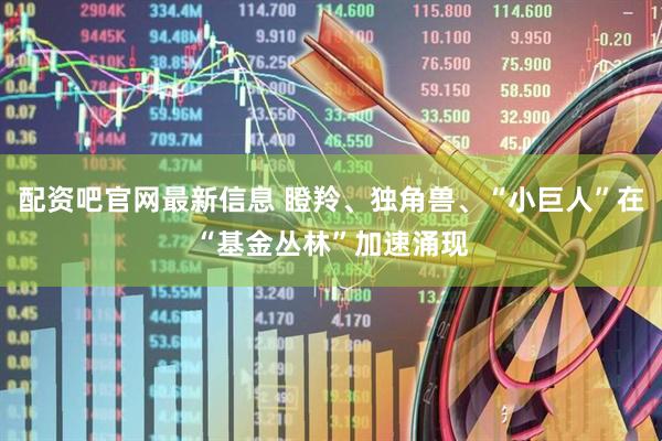 配资吧官网最新信息 瞪羚、独角兽、“小巨人”在“基金丛林”加速涌现