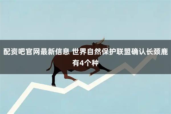 配资吧官网最新信息 世界自然保护联盟确认长颈鹿有4个种