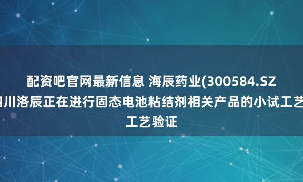 配资吧官网最新信息 海辰药业(300584.SZ)：四川洛辰正在进行固态电池粘结剂相关产品的小试工艺验证